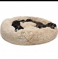 Caring for your pet's bed