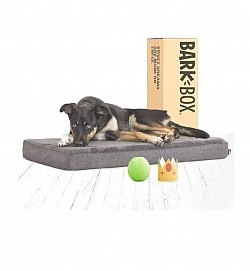 bark box foam flat bed