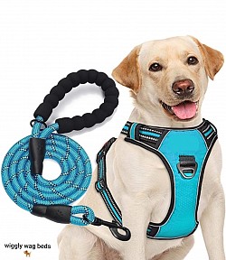 Leash and harness set